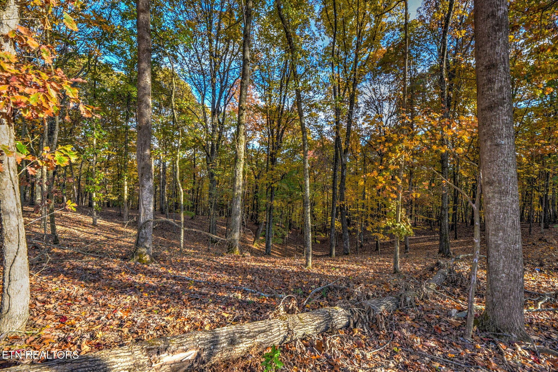1000019182 - 3010 Old Dogwood Tr, Loudon, TN 37774
