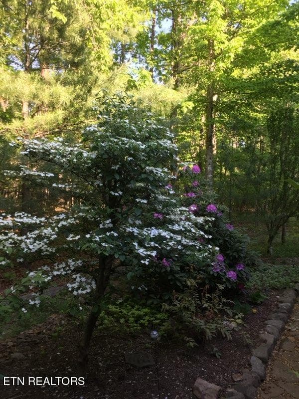 VIBURNUM - 105 Kings Down Drive, Fairfield Glade, TN 38558