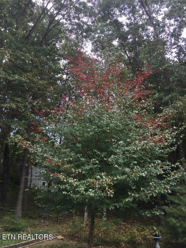 BLOOMING HAWTHORNE - 105 Kings Down Drive, Fairfield Glade, TN 38558