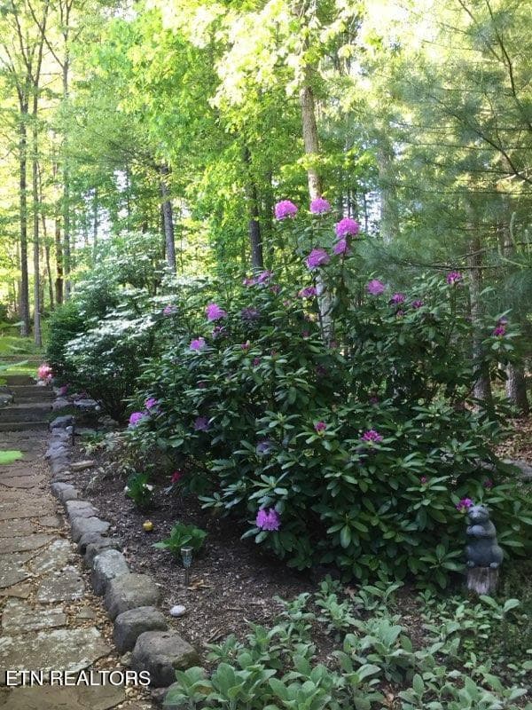 RHODODENDRON - 105 Kings Down Drive, Fairfield Glade, TN 38558