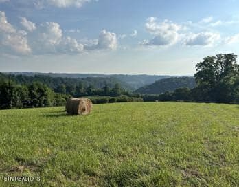 IMG_5764.thumbnail - 323 Beech Hollow Rd, Harrogate, TN 37752