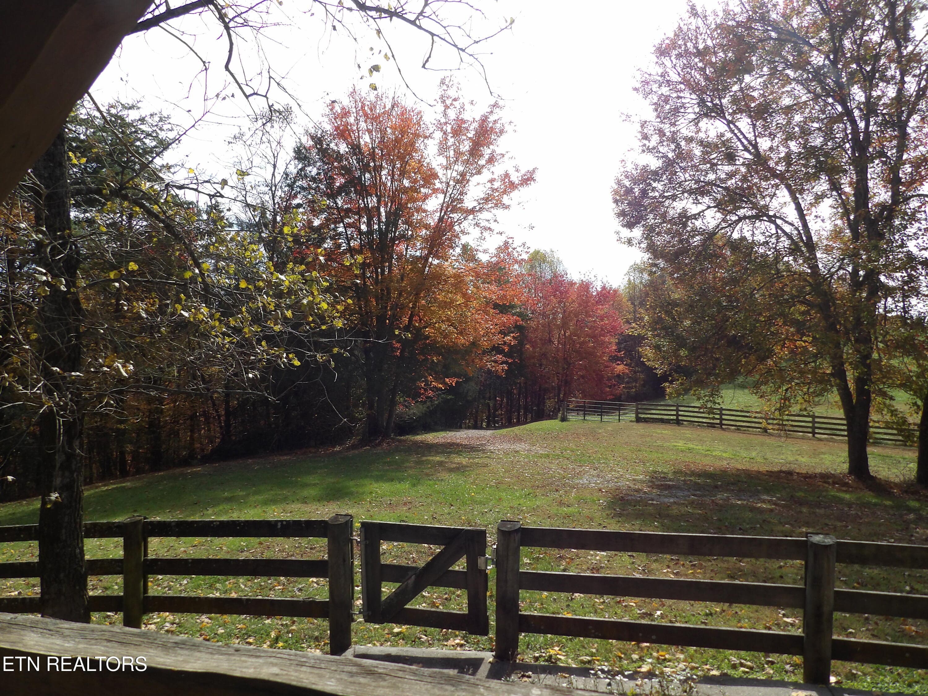 101_8086 - 323 Beech Hollow Rd, Harrogate, TN 37752