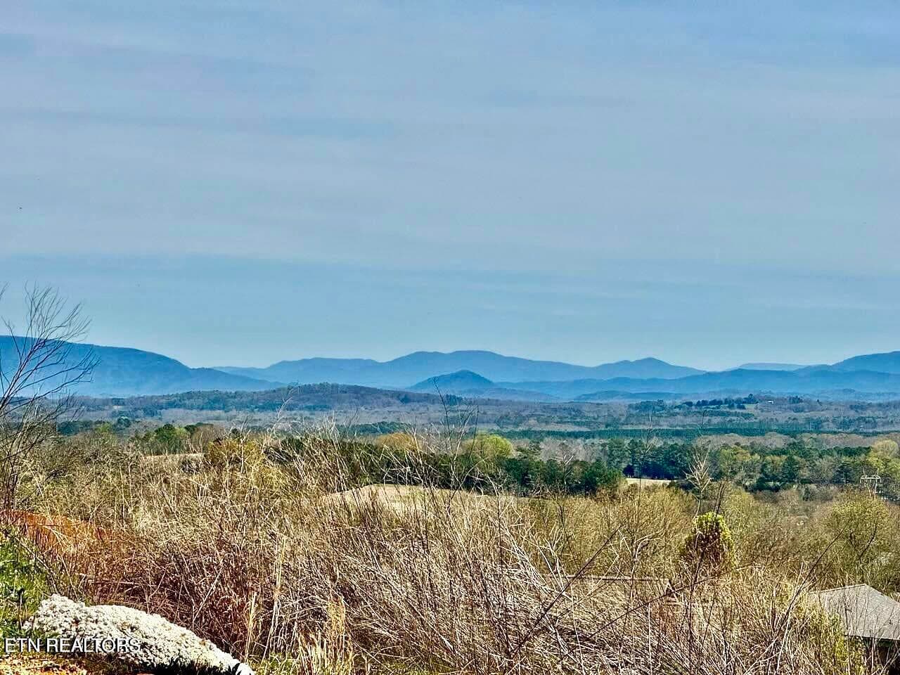 View from lot - Timber Top Crossing Lot 24, Cleveland, TN 37323