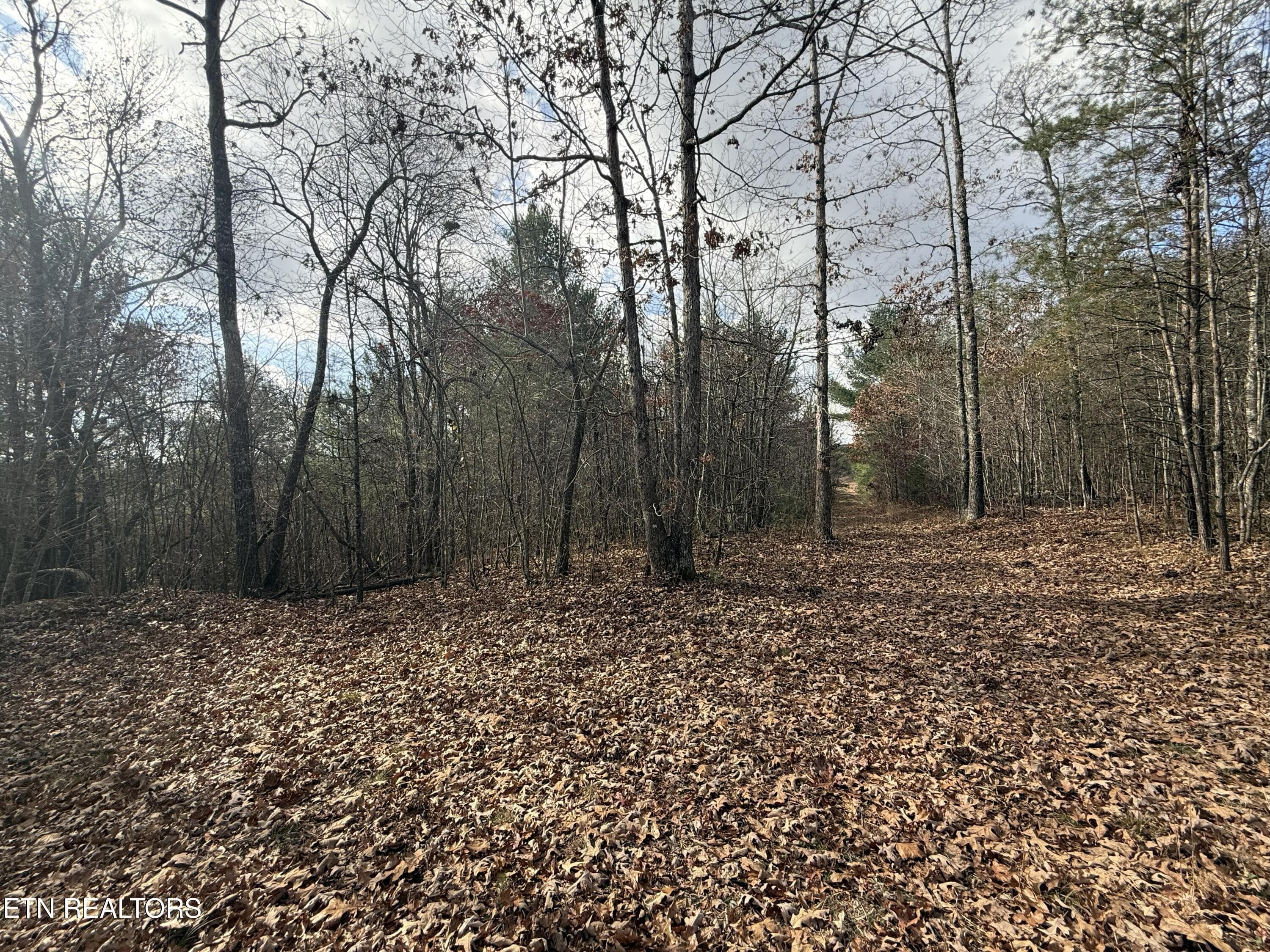 IMG_5887 - Valerie Drive 10.77 acres Drive, Deer Lodge, TN 37726, Deer Lodge