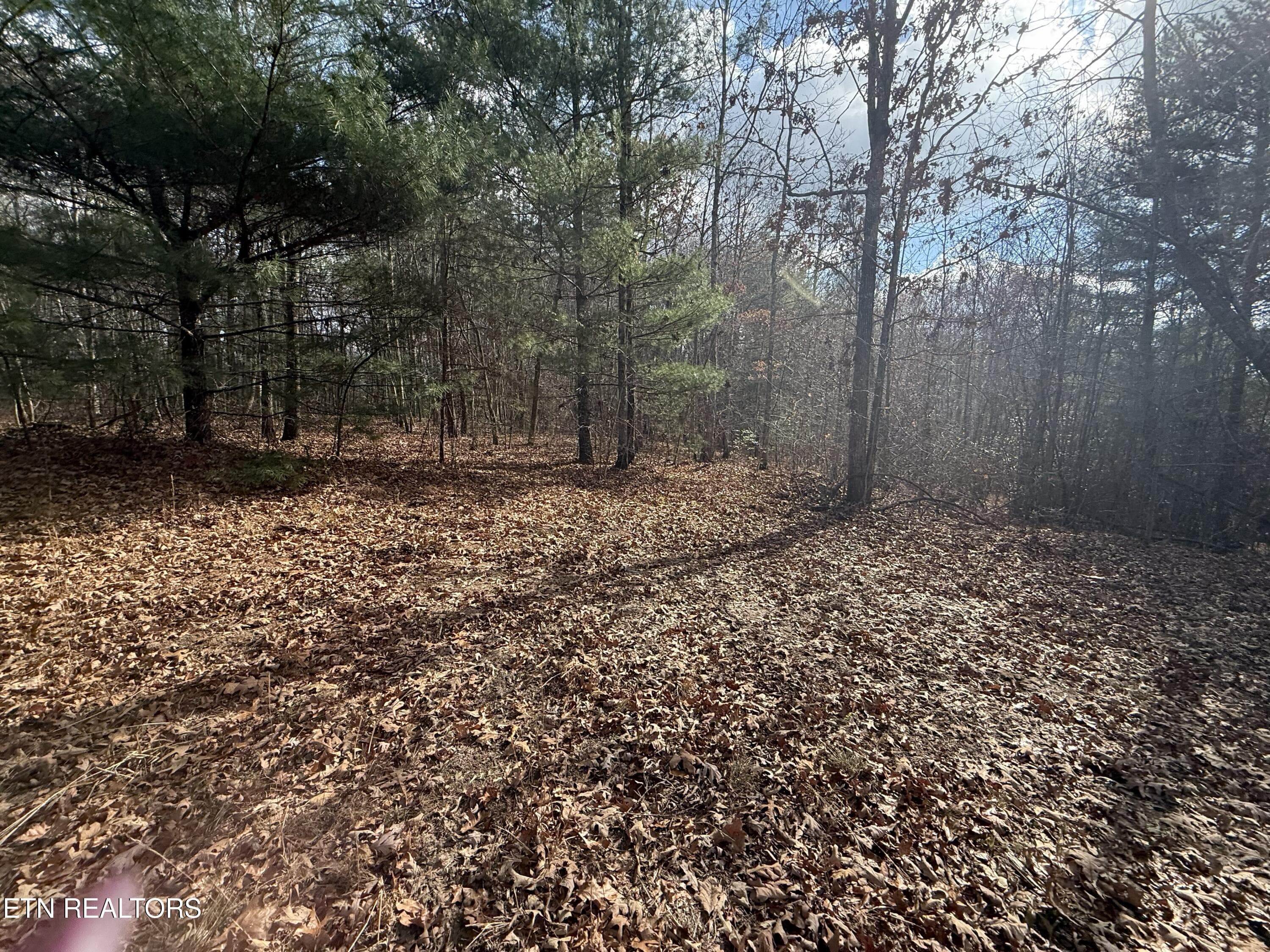 IMG_5890 - Valerie Drive 10.77 acres Drive, Deer Lodge, TN 37726, Deer Lodge