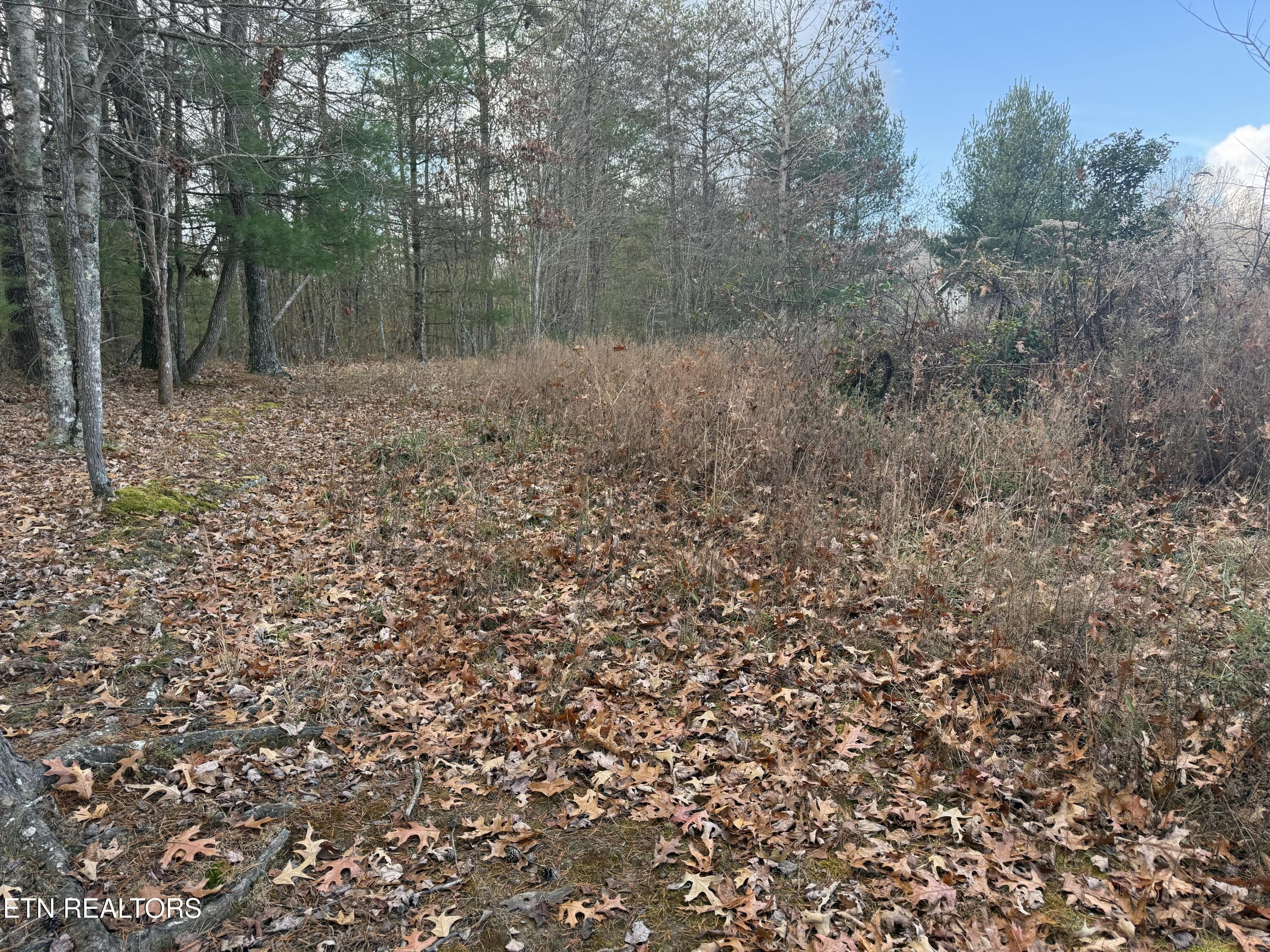 IMG_5899 - Valerie Drive 10.77 acres Drive, Deer Lodge, TN 37726, Deer Lodge