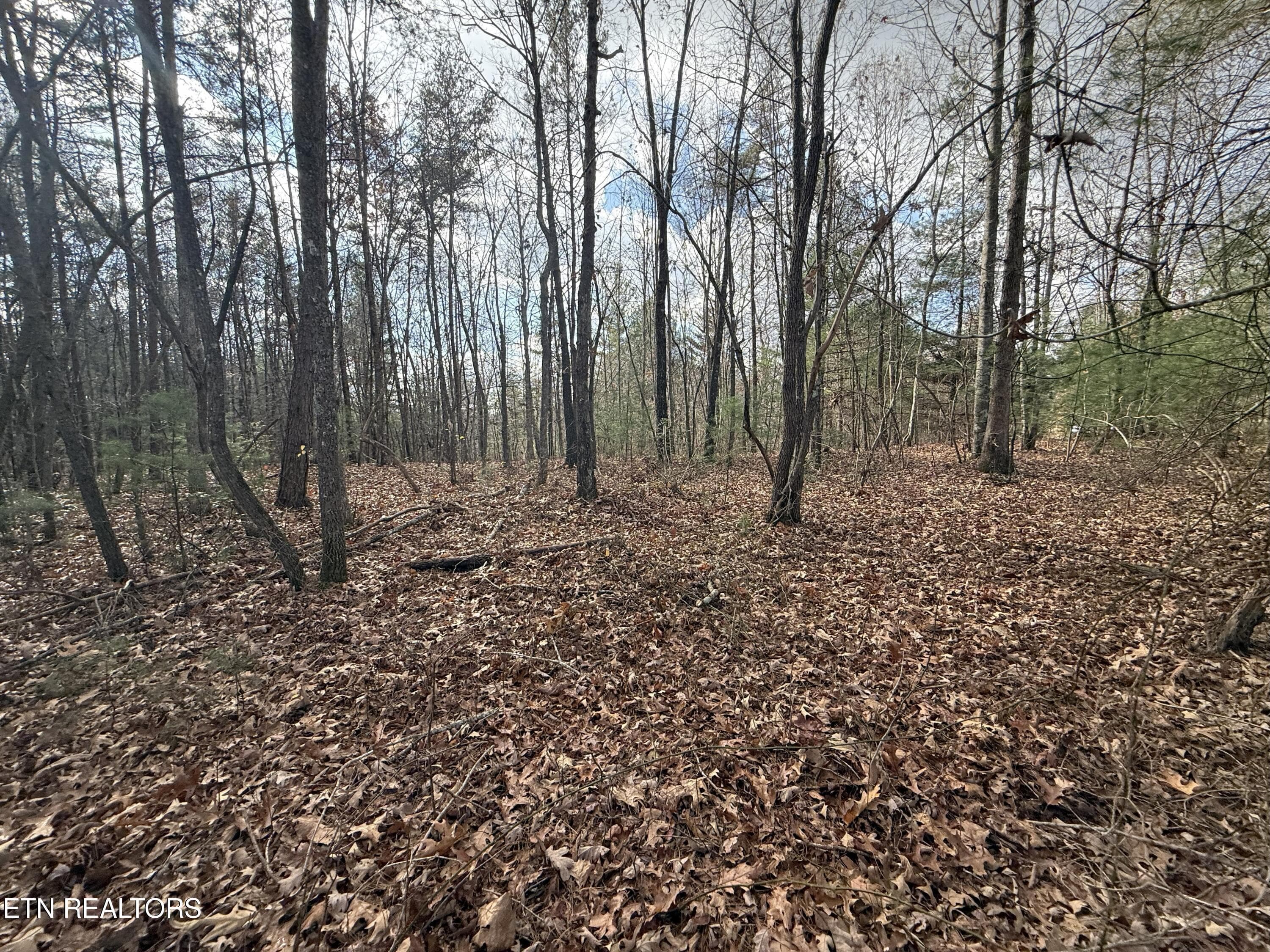 IMG_5905 - Valerie Drive 10.77 acres Drive, Deer Lodge, TN 37726, Deer Lodge