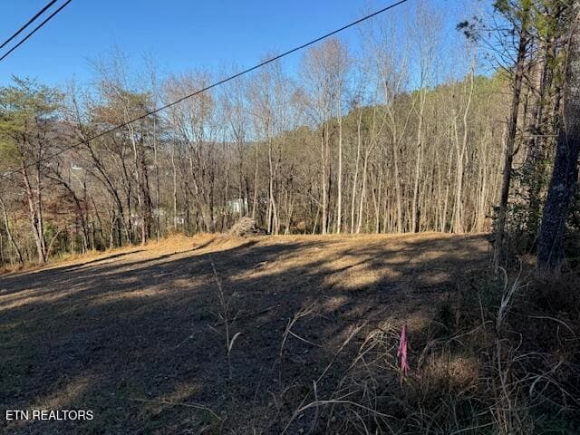 IMG_0481 - Lot 22 Moon Circle, Spring City, TN 37381, Spring City