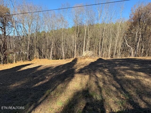 IMG_0482 - Lot 22 Moon Circle, Spring City, TN 37381, Spring City