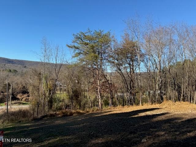 IMG_0483 - Lot 22 Moon Circle, Spring City, TN 37381, Spring City