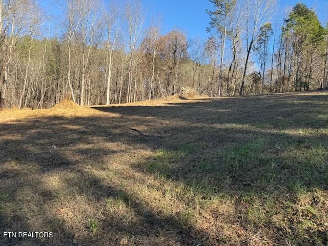 IMG_0485 - Lot 22 Moon Circle, Spring City, TN 37381, Spring City