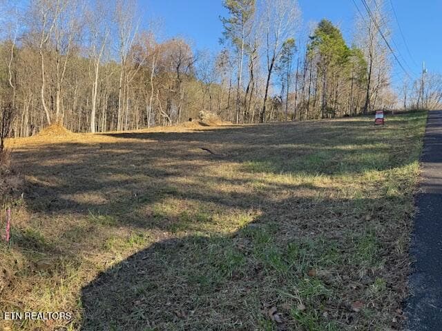 IMG_0486 - Lot 22 Moon Circle, Spring City, TN 37381, Spring City