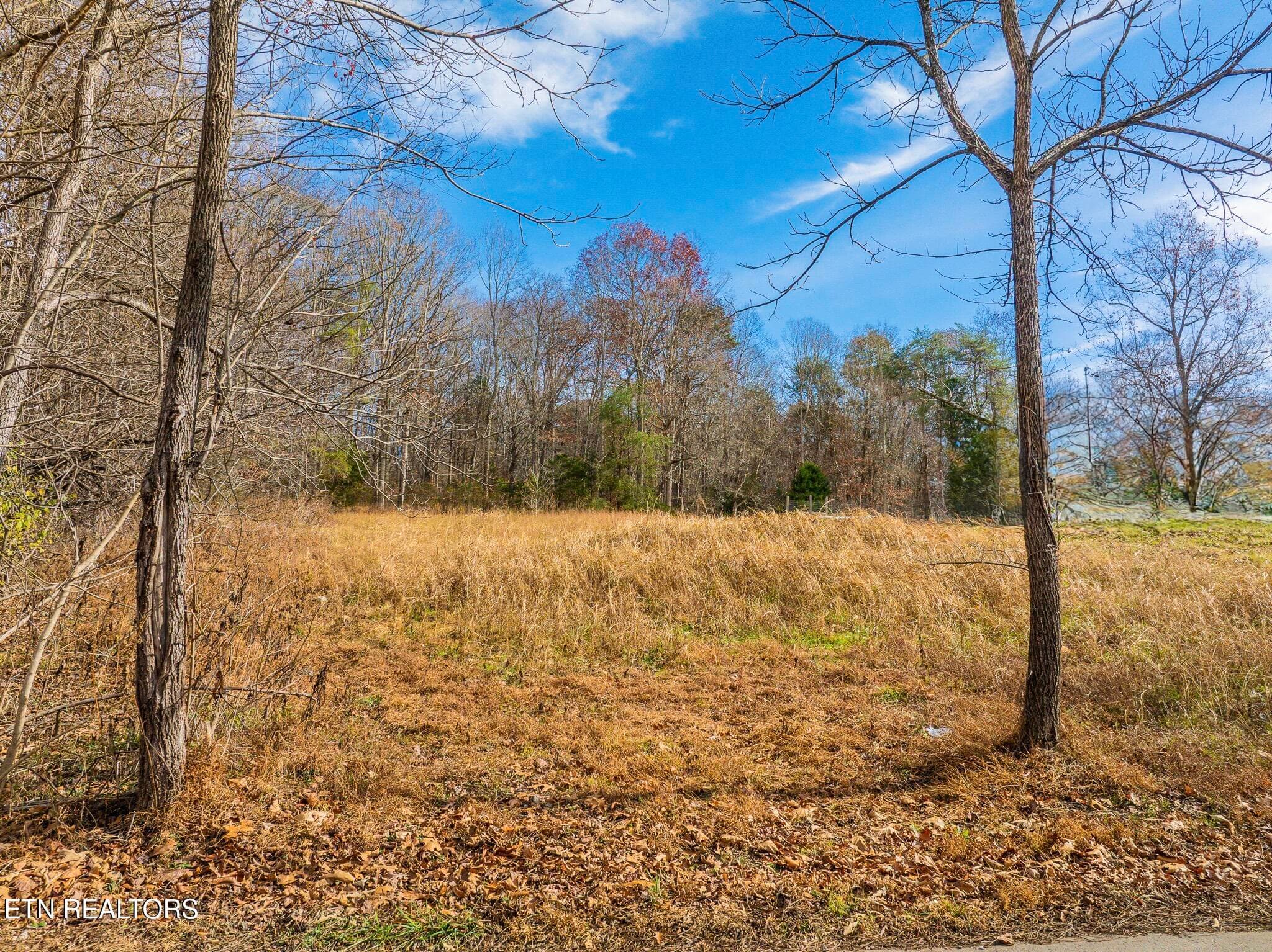 Collins Rd, Blaine, TN 37709