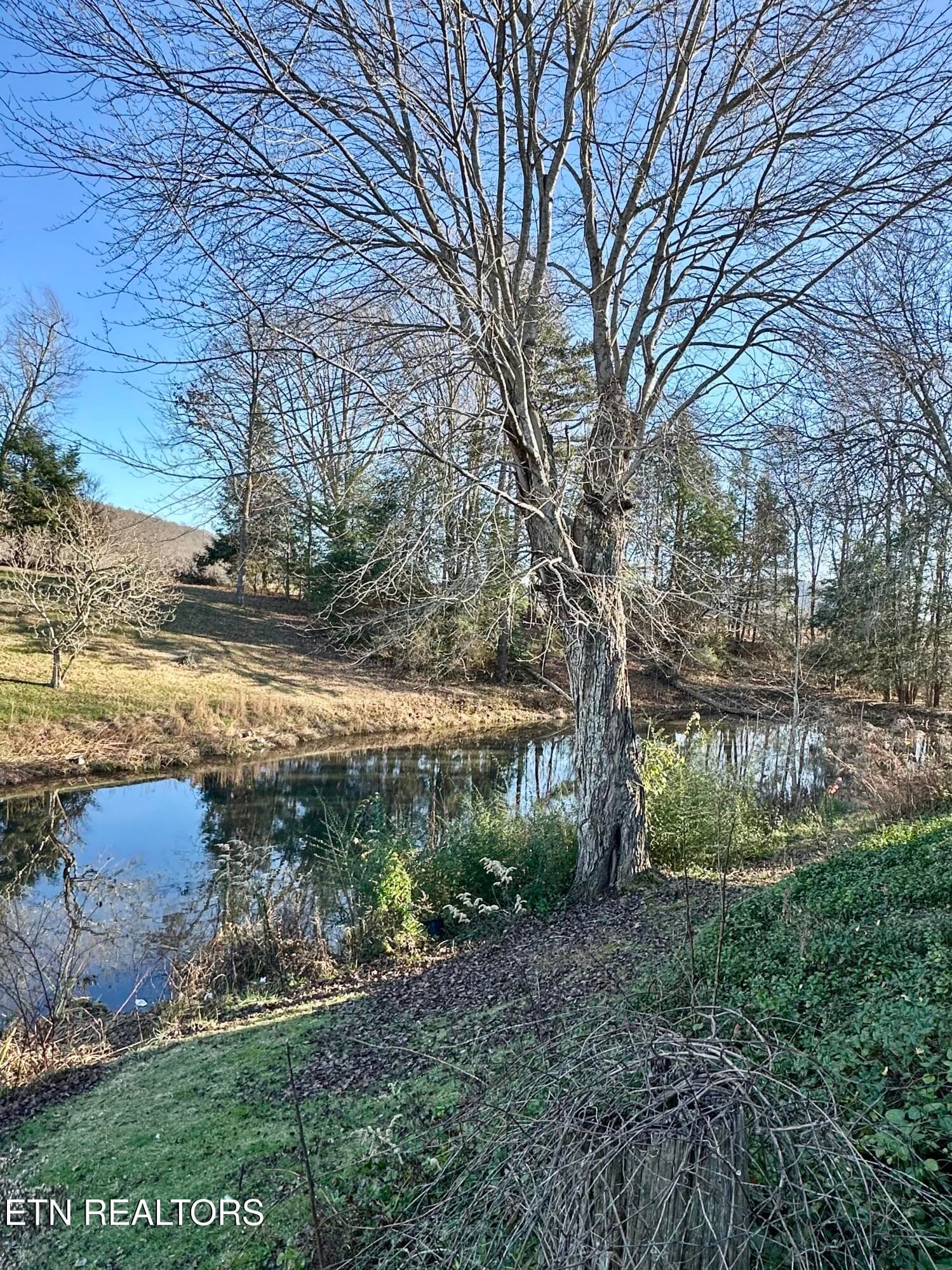IMG_2733 - 1500 Coal Hill Rd, Sunbright, TN 37872