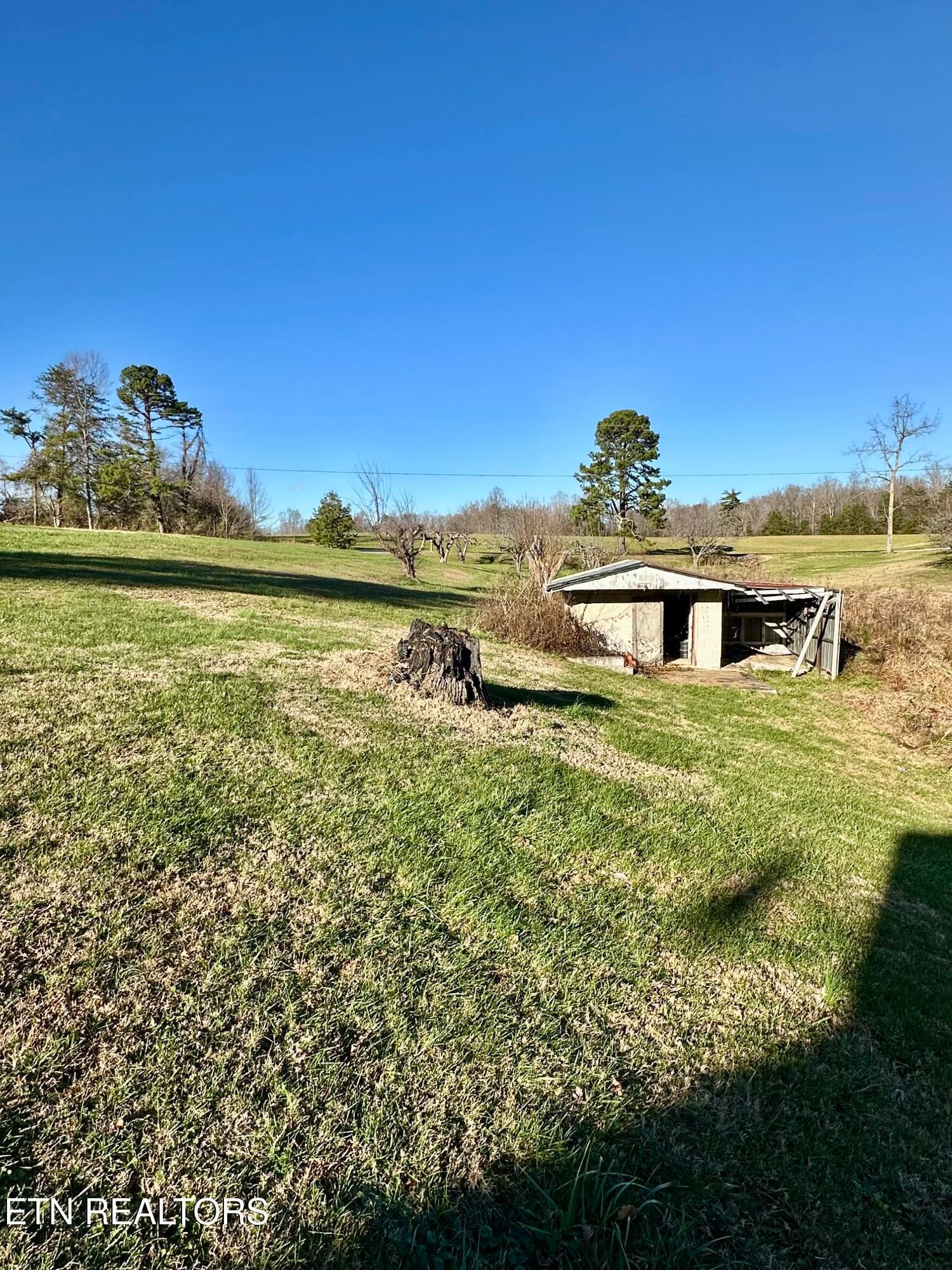 IMG_2734 - 1500 Coal Hill Rd, Sunbright, TN 37872