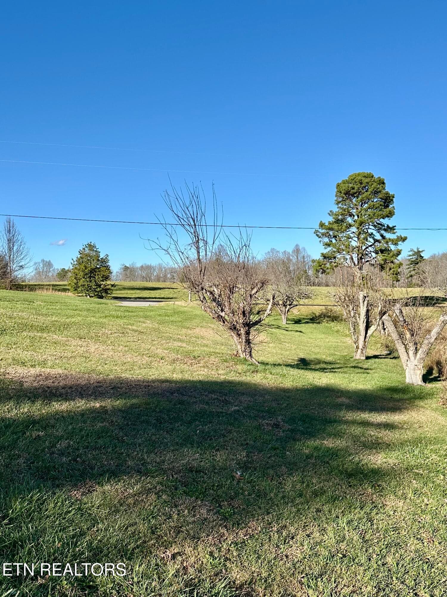IMG_2735 - 1500 Coal Hill Rd, Sunbright, TN 37872