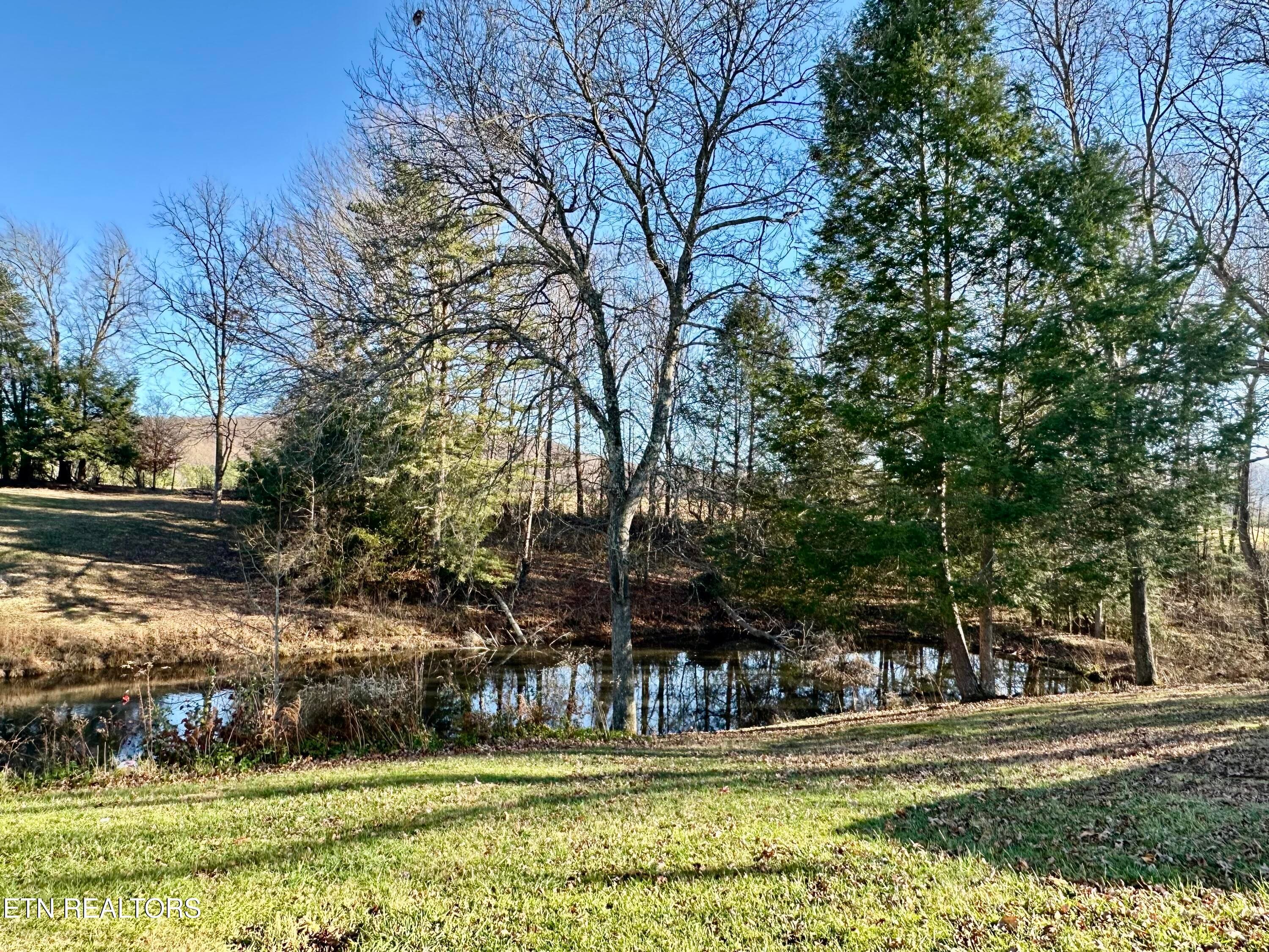 IMG_2737 - 1500 Coal Hill Rd, Sunbright, TN 37872