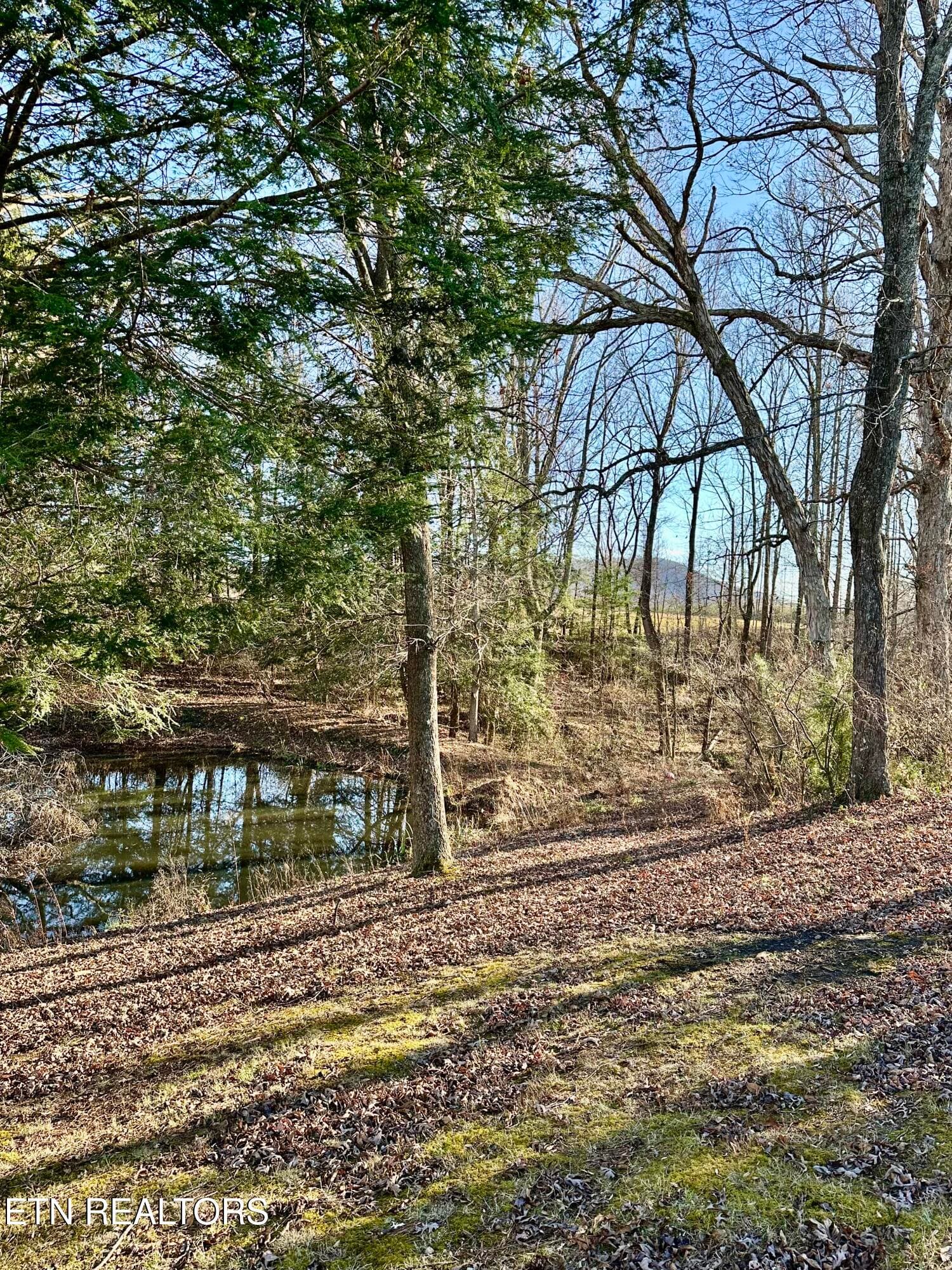 IMG_2738 - 1500 Coal Hill Rd, Sunbright, TN 37872
