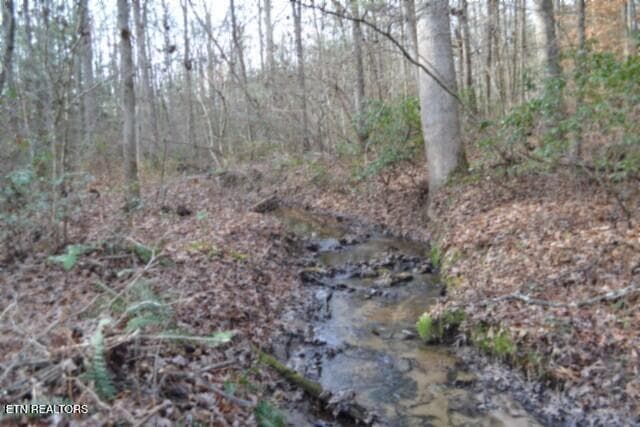 BEST OF CREEK - Lot 4 Shotgun Annie Rd, Jamestown, TN 38556
