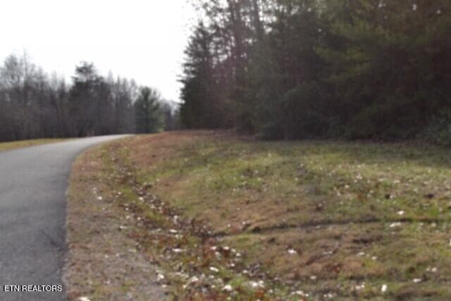 DSC_0001 - Lot 4 Shotgun Annie Rd, Jamestown, TN 38556