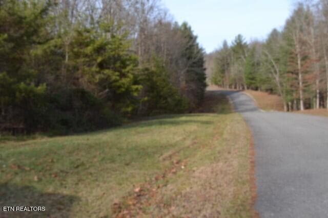 DSC_0002 - Lot 4 Shotgun Annie Rd, Jamestown, TN 38556
