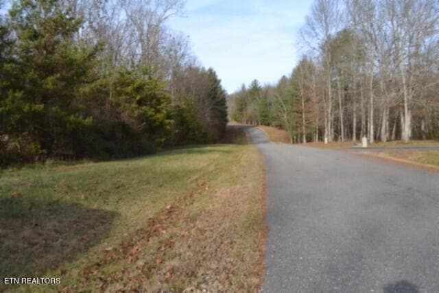 DSC_0003 - Lot 4 Shotgun Annie Rd, Jamestown, TN 38556