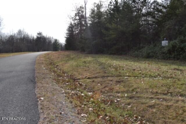 DSC_0004 - Lot 4 Shotgun Annie Rd, Jamestown, TN 38556