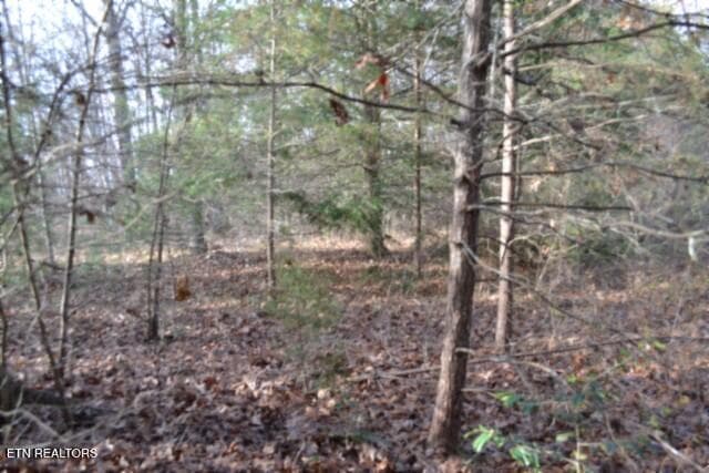 DSC_0008 - Lot 4 Shotgun Annie Rd, Jamestown, TN 38556