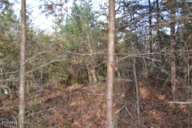 DSC_0009 - Lot 4 Shotgun Annie Rd, Jamestown, TN 38556