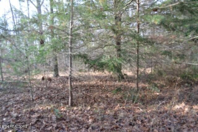 DSC_0010 - Lot 4 Shotgun Annie Rd, Jamestown, TN 38556