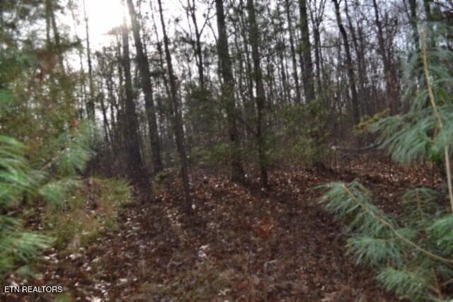 DSC_0011 - Lot 4 Shotgun Annie Rd, Jamestown, TN 38556