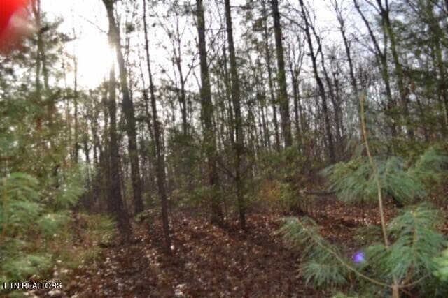 DSC_0012 - Lot 4 Shotgun Annie Rd, Jamestown, TN 38556