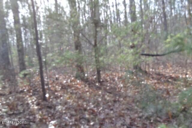DSC_0013 - Lot 4 Shotgun Annie Rd, Jamestown, TN 38556
