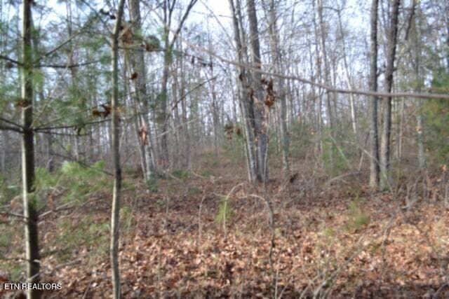 DSC_0014 - Lot 4 Shotgun Annie Rd, Jamestown, TN 38556
