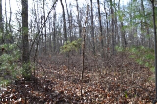 DSC_0015 - Lot 4 Shotgun Annie Rd, Jamestown, TN 38556