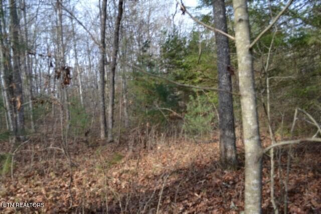 DSC_0016 - Lot 4 Shotgun Annie Rd, Jamestown, TN 38556