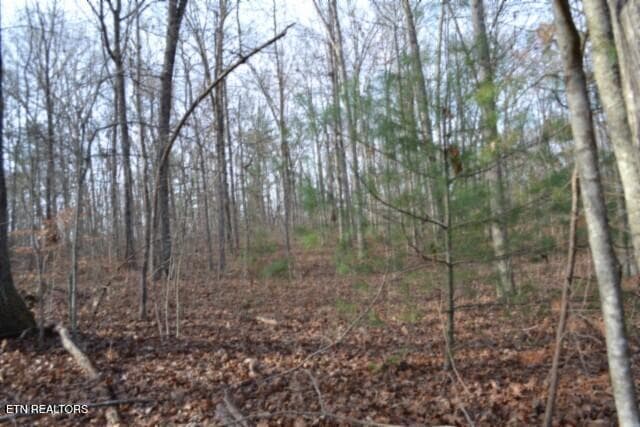 DSC_0017 - Lot 4 Shotgun Annie Rd, Jamestown, TN 38556