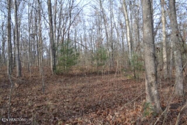 DSC_0018 - Lot 4 Shotgun Annie Rd, Jamestown, TN 38556