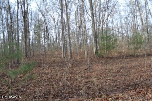 DSC_0019 - Lot 4 Shotgun Annie Rd, Jamestown, TN 38556