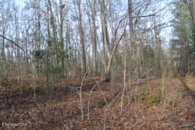 DSC_0020 - Lot 4 Shotgun Annie Rd, Jamestown, TN 38556