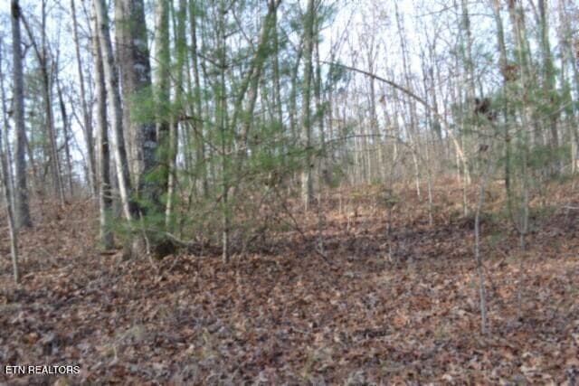 DSC_0023 - Lot 4 Shotgun Annie Rd, Jamestown, TN 38556