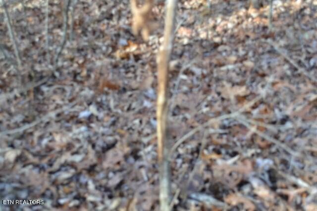 DSC_0025 - Lot 4 Shotgun Annie Rd, Jamestown, TN 38556