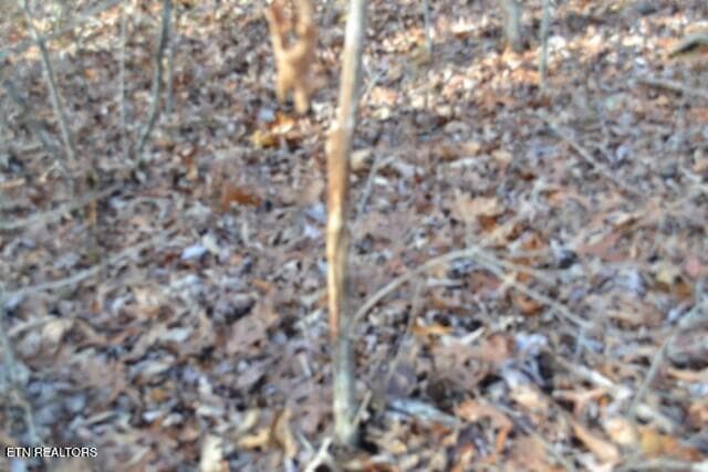 DSC_0026 - Lot 4 Shotgun Annie Rd, Jamestown, TN 38556