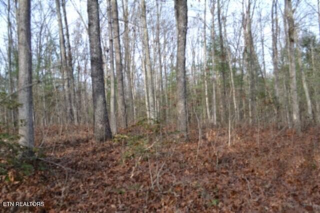 DSC_0027 - Lot 4 Shotgun Annie Rd, Jamestown, TN 38556