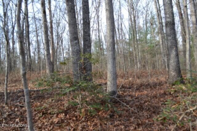 DSC_0028 - Lot 4 Shotgun Annie Rd, Jamestown, TN 38556