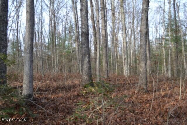 DSC_0029 - Lot 4 Shotgun Annie Rd, Jamestown, TN 38556