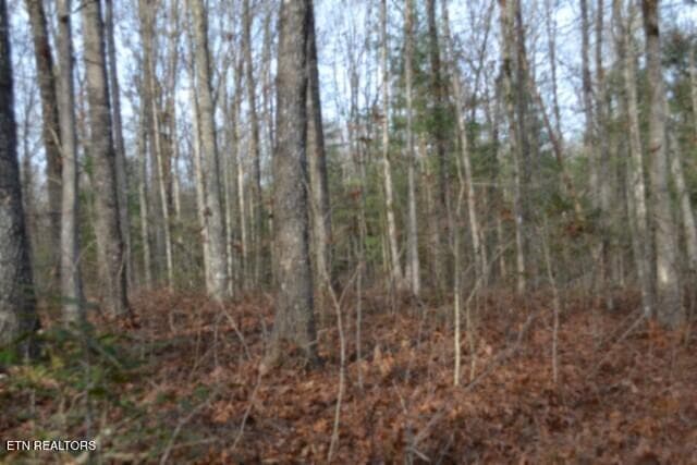 DSC_0031 - Lot 4 Shotgun Annie Rd, Jamestown, TN 38556