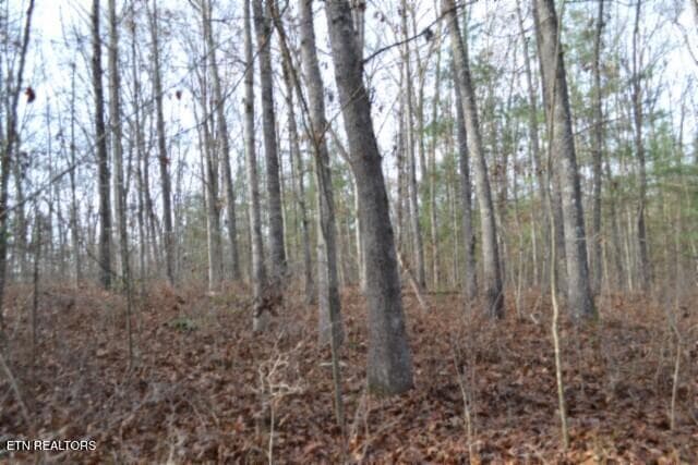 DSC_0032 - Lot 4 Shotgun Annie Rd, Jamestown, TN 38556