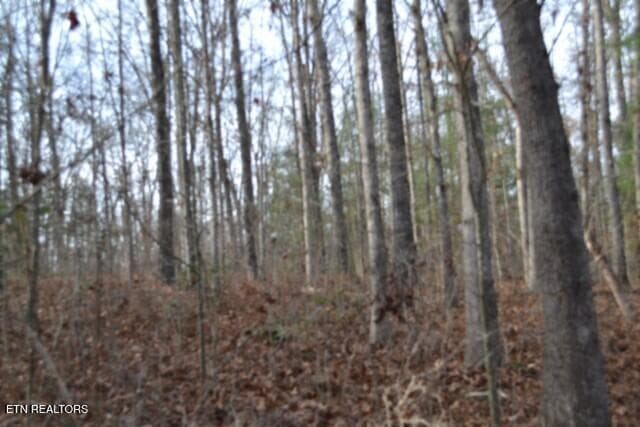 DSC_0033 - Lot 4 Shotgun Annie Rd, Jamestown, TN 38556