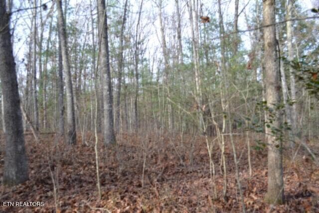DSC_0034 - Lot 4 Shotgun Annie Rd, Jamestown, TN 38556